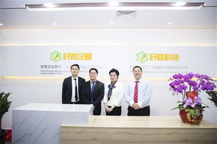 籽微企管廈門分公司成立，以專業網站建設服務助力福建中小微企業成長