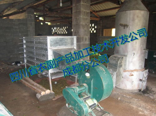 辣椒烘干設(shè)備技術(shù)指南 朝天椒與牛角椒的專業(yè)烘干解決方案