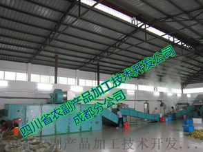 探秘脫水黃瓜生產(chǎn)線 技術(shù)與工藝的完美結(jié)合